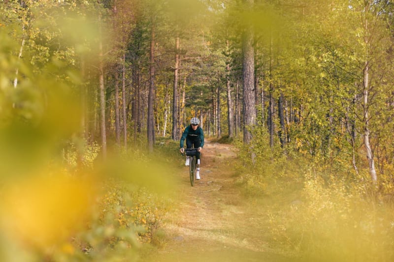 Se faire plaisir à vélo à travers les forêts de Versailles - Versailles