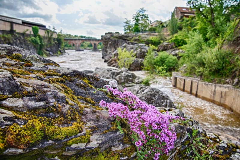 Flâner le long du Tarn entre l'Albigeois et le Carmausin - Saint-Juéry