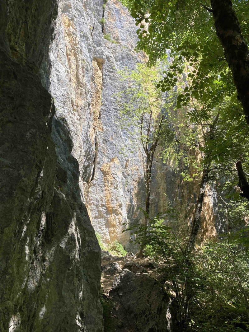 Escalade à La Goulandière et fraîcheur de la Bourne - Rencurel
