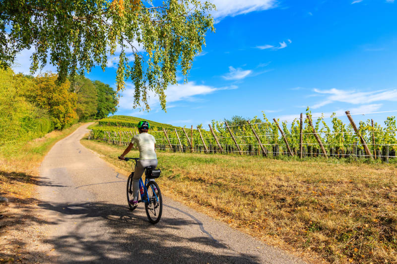 Garrigues sauvages à vélo et virée dans les vignes - Saint-Paul-et-Valmalle