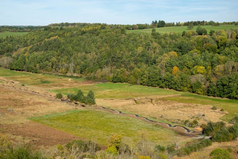 Petit tour de Volvic et Grotte de la Pierre - Volvic