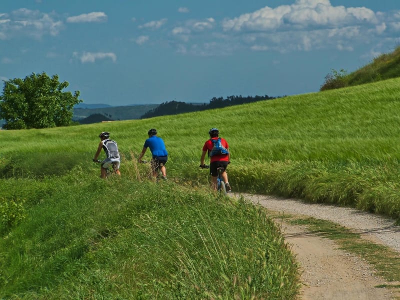 VTT autour de Saint-Pardoux et beauté de son cadre sauvage - Saint-Pardoux-le-Lac