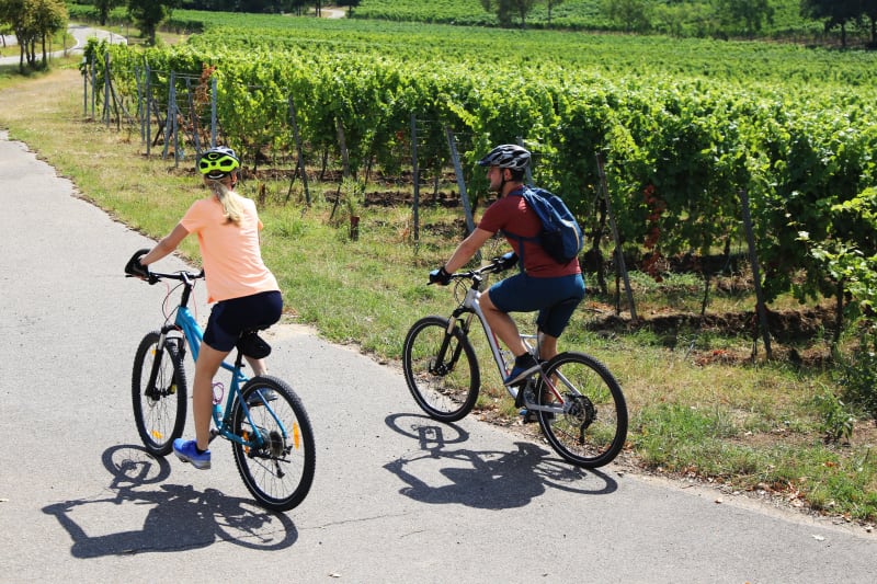 Plaines des Matelles et ses vignes à VTT - Les Matelles