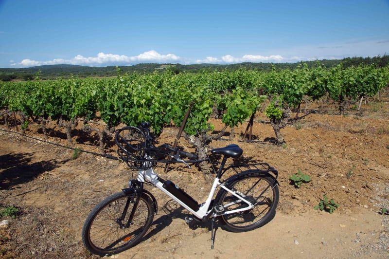 Détente à VTT des forêts aux vignes depuis Gignac - Gignac