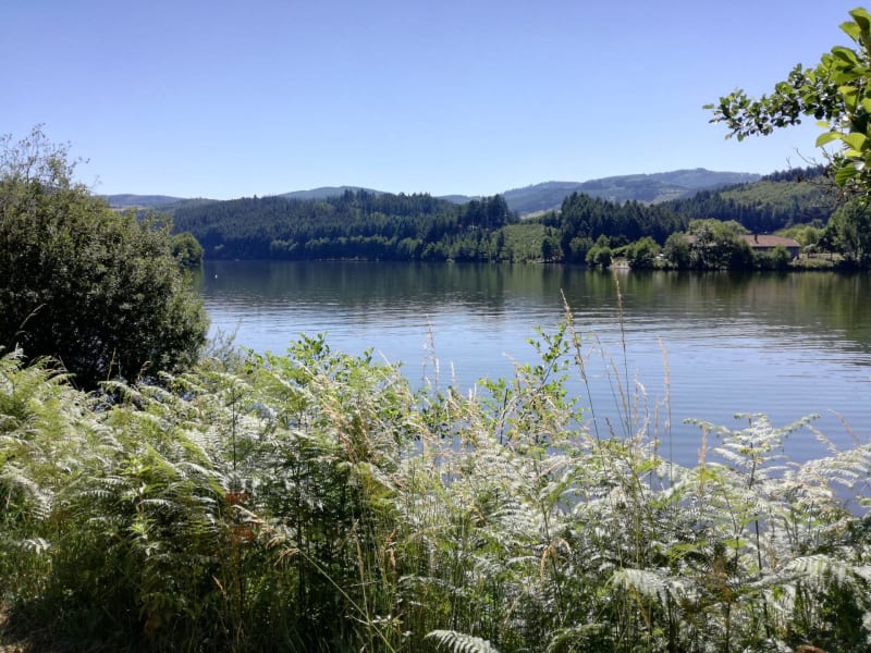 Tour du lac des Sapins et baignade à gogo - Cublize