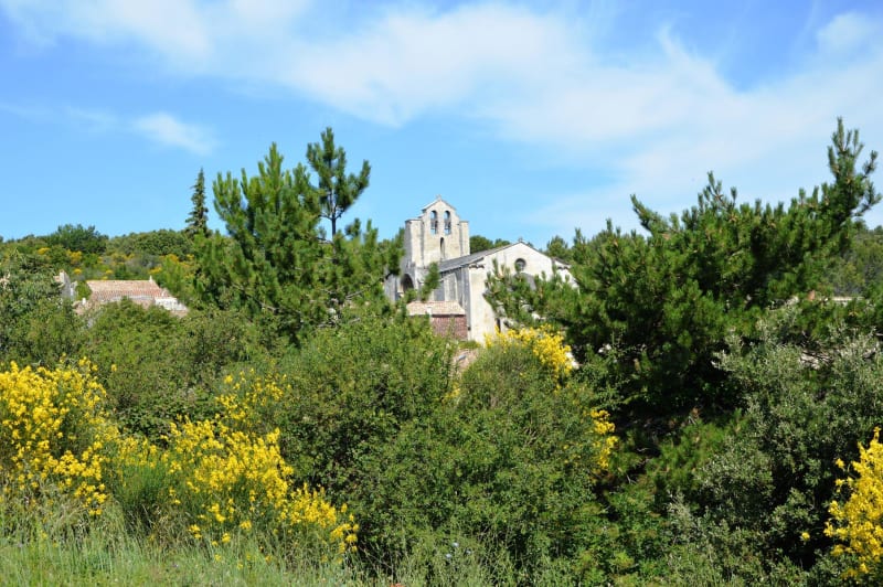 Sur le plateau de Saint-Restitut et carrières de Sainte-Juste - Saint-Paul-Trois-Châteaux