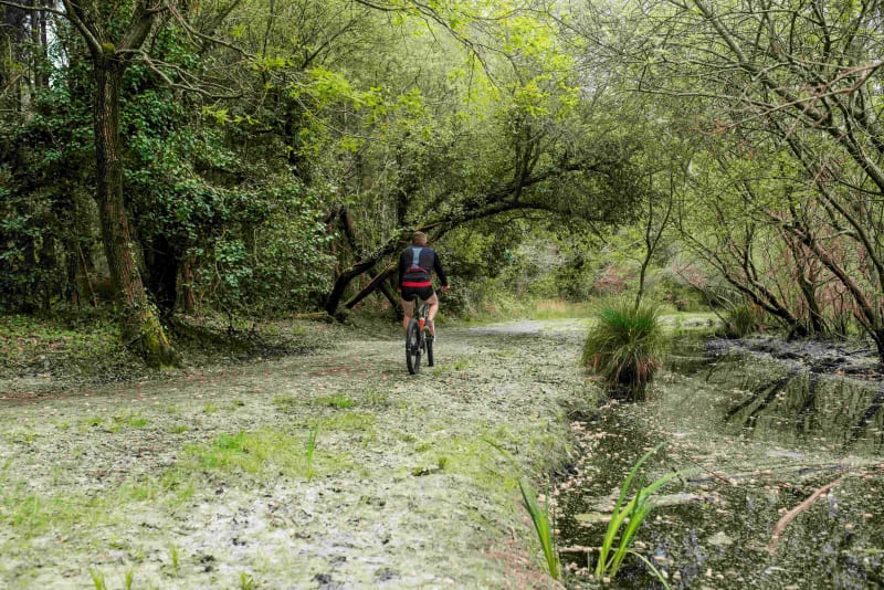 Nature à VTT aux portes de Toulouse et sa Forêt de Bouconne - Lévignac