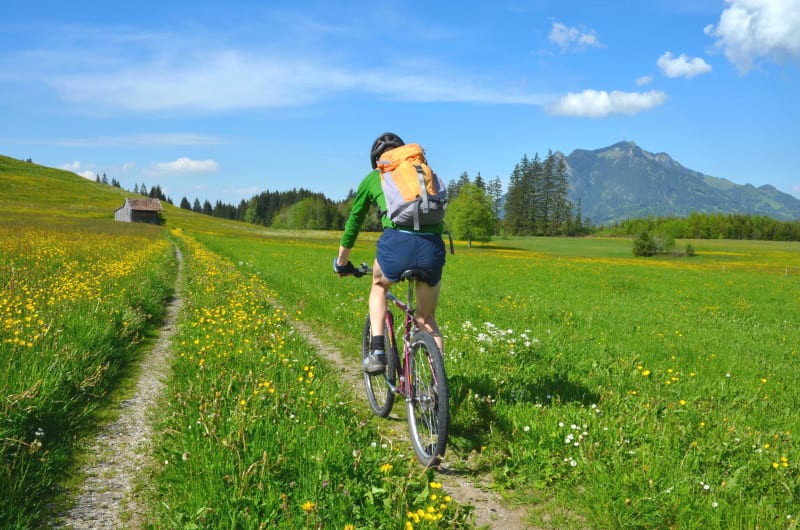 Chalets de Vormy et beauté sauvage des Aravis à VTT - Le Reposoir