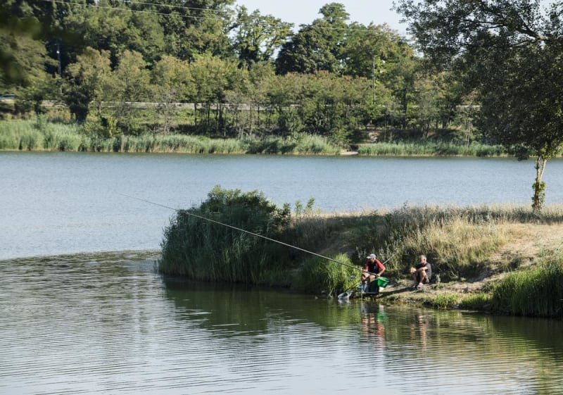 Des quais d'Ancône aux îles du Rhône, par la ViaRhôna - Ancône