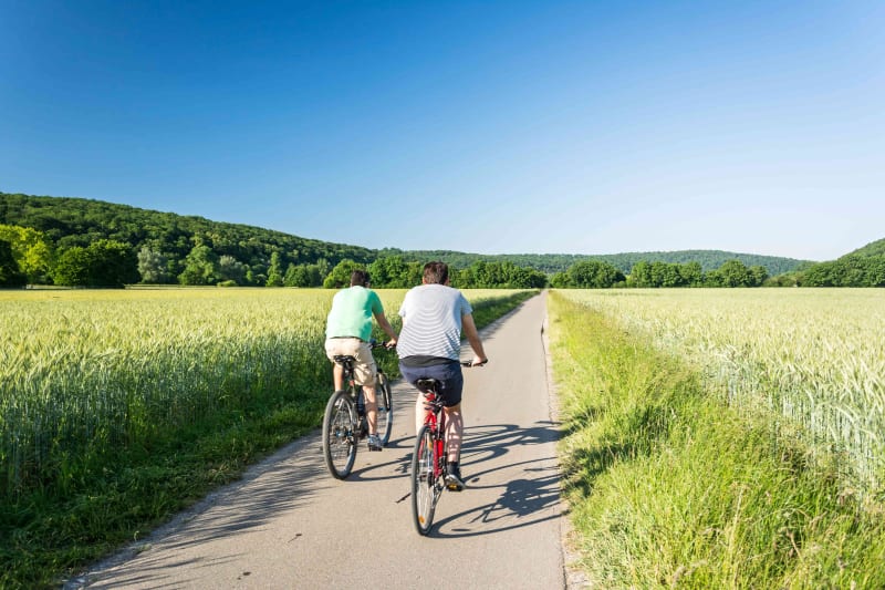 Bois et campagne gersois à vélo de Saint-Sauvy à Ansan - Saint-Sauvy