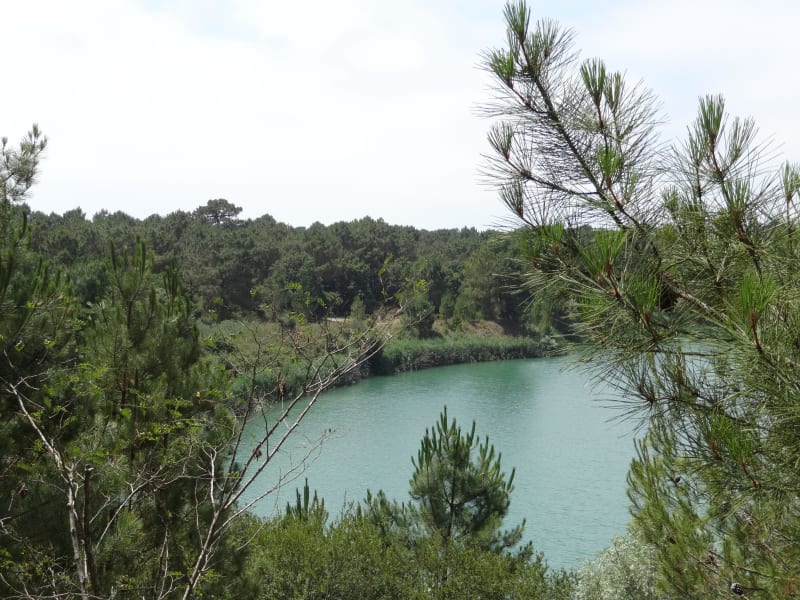 En selle à Saint-Augustin et virée dans une forêt envoûtante - Saint-Augustin