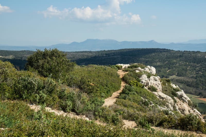 Cuges-les-Pins en VTT au cœur de la Sainte-Baume - Cuges-les-Pins