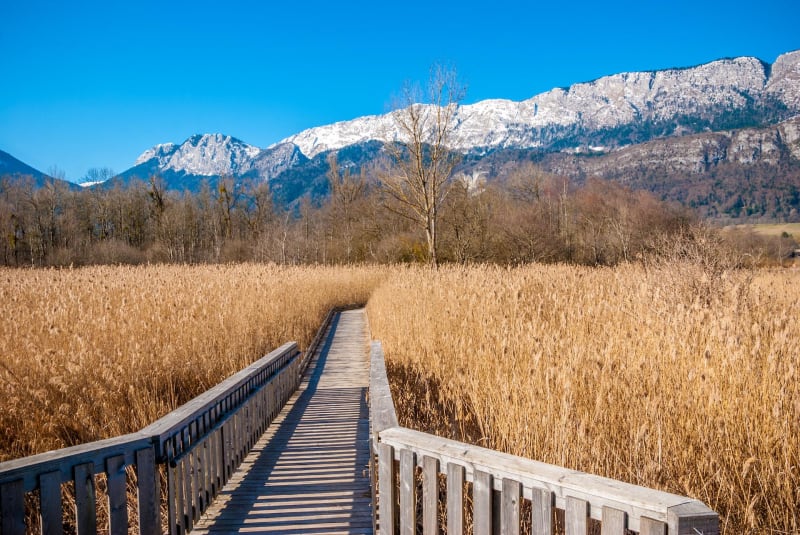 Doussard en het natuurreservaat aan het einde van het meer van Annecy - Doussard