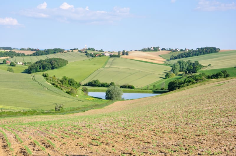 Saliès et balade de caractère et verte dans le pays des coteaux - Salies