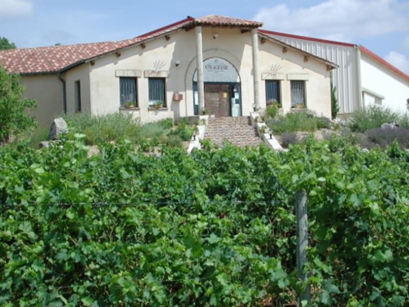 Thézac, la légende du "vin du Tsar" - Thézac