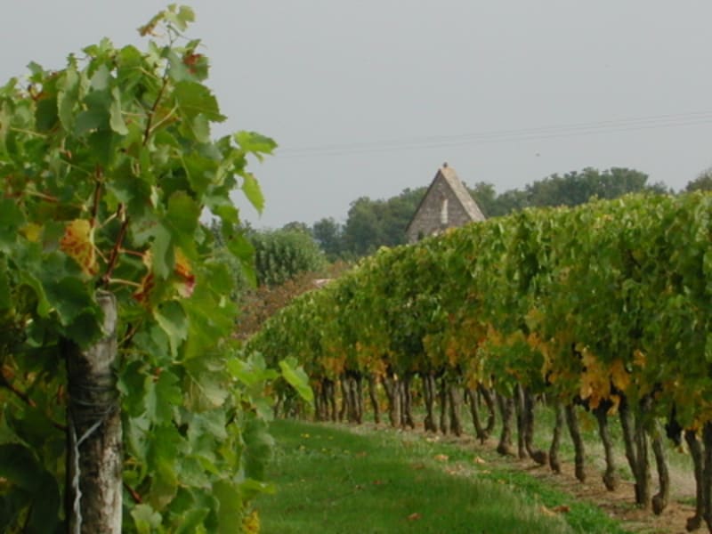 Loubès-Bernac, aux confins de la Gironde et de la Dordogne - Loubès-Bernac