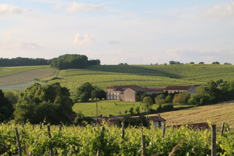 Circuit des Trois Pierres et esprit du cognac - Angeac-Champagne