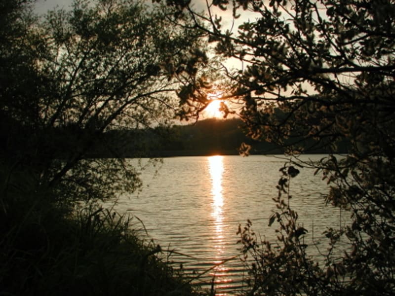 Foulayronnes, le circuit du lac de Talives - Foulayronnes