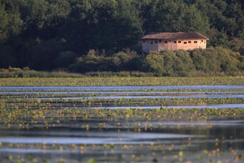 Rondleiding door de vijver van de Landes en de wilde natuur - Lussat
