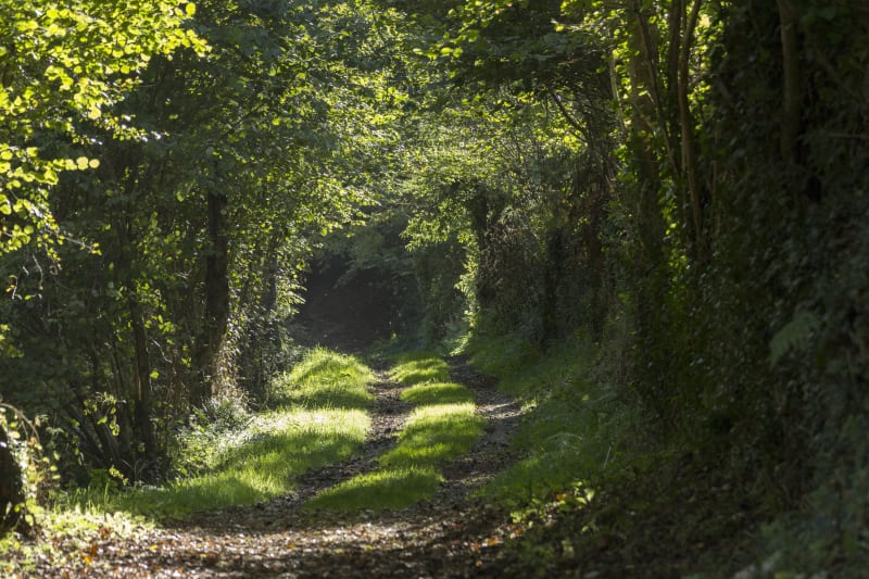 Boucles des Dolines aux alentours d'Ancerville - Ancerville