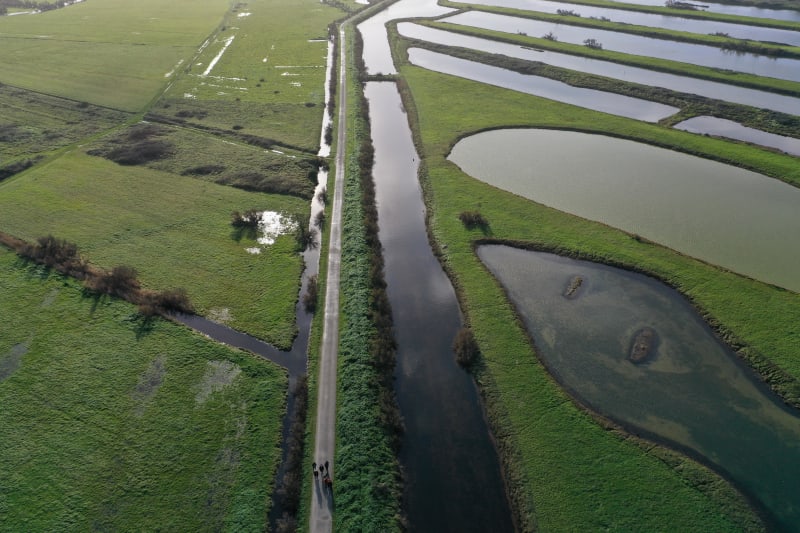 Marais du Warland et biotope au top à Houlle - Houlle