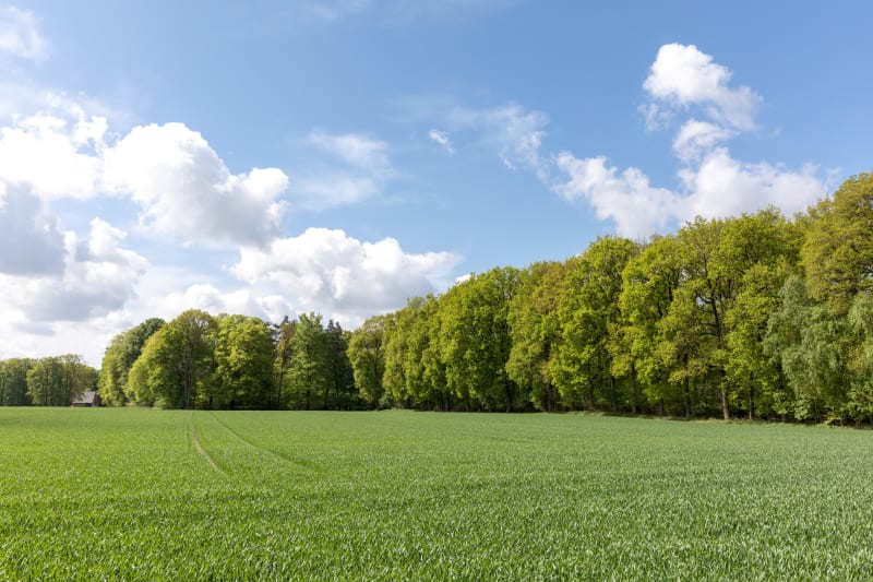 Gondrecourt-le-Château et balade entre plaines et bois - Gondrecourt-le-Château