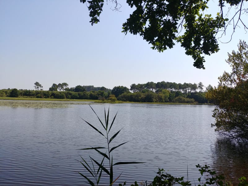 Virée en forêt landaise et son étang de Bourg-le-Vieux - Bias