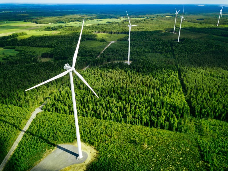 Autour de Mauvages, bois, éoliennes et vie sauvage - Mauvages
