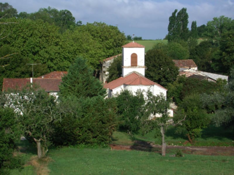 Masquières, à travers la forêt du Verdus - Masquières