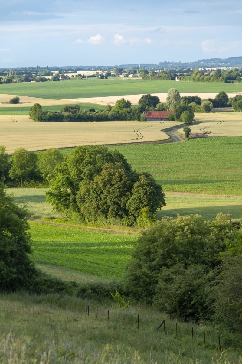 Cléry-sur-Somme et sa balade ente bois et plaines vallonées - Cléry-sur-Somme