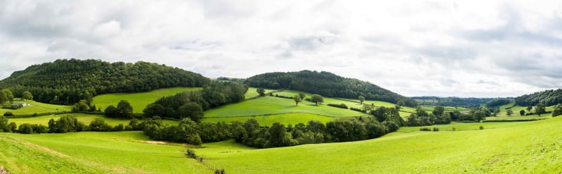 Balade à Tincourt-Boucly des marais au cimetière britannique - Tincourt-Boucly