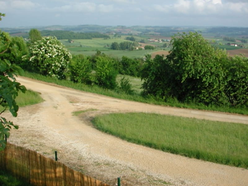 Tourtrès, du pech du moulin à vent au bois de Verteuil - Tourtrès