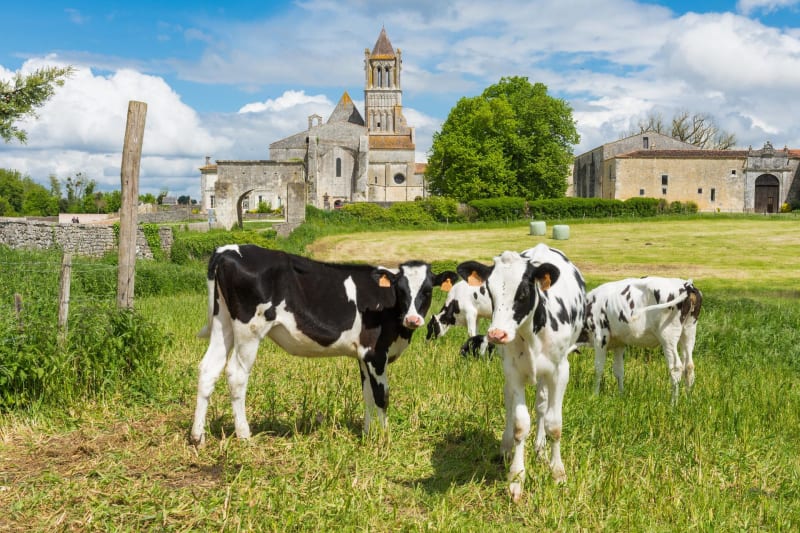 Découverte de Sablonceaux et son impressionnante abbaye - Sablonceaux
