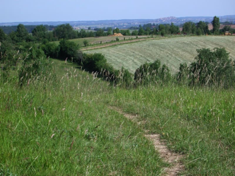 Saint-Germain, l'autre colline de Villeneuve-sur-lot - Saint-Germain  (Villeneuve-sur-Lot)