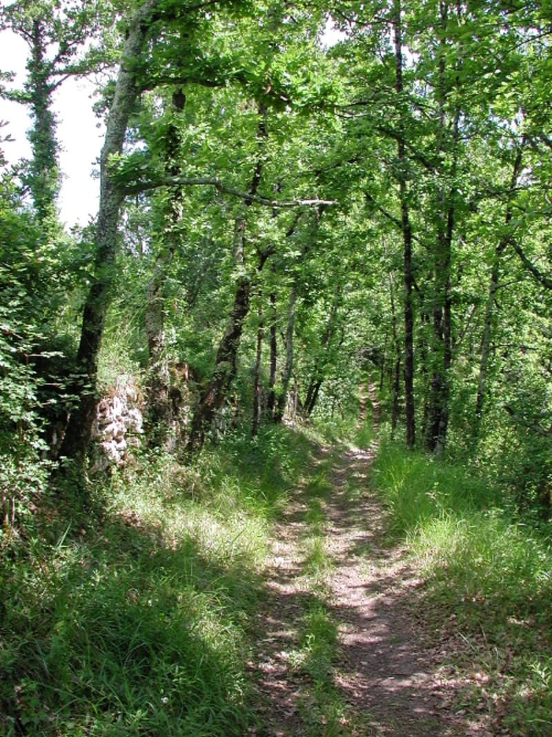 Dondas, balade dans les coteaux du Pays de Serres - Dondas