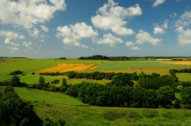 Evasion à Driencourt et atout bouts de champs - Driencourt