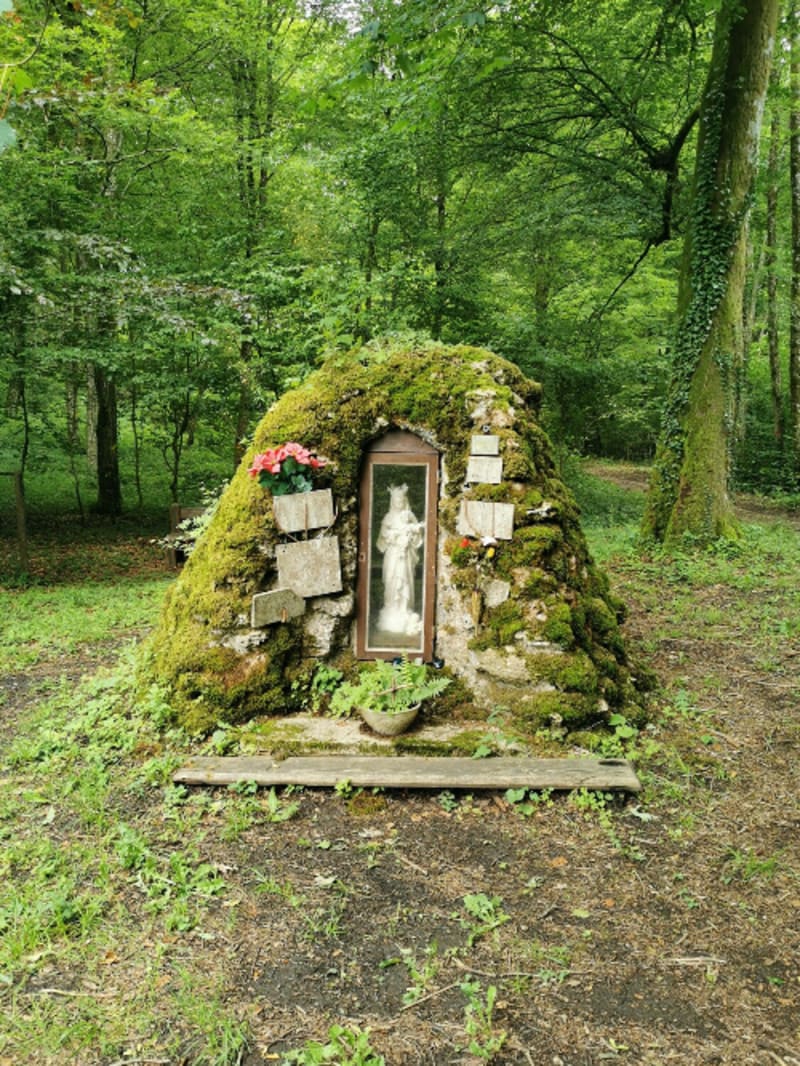 Forêt domaniale de Froidmont et sa mystérieuse statue - Thin-le-Moutier