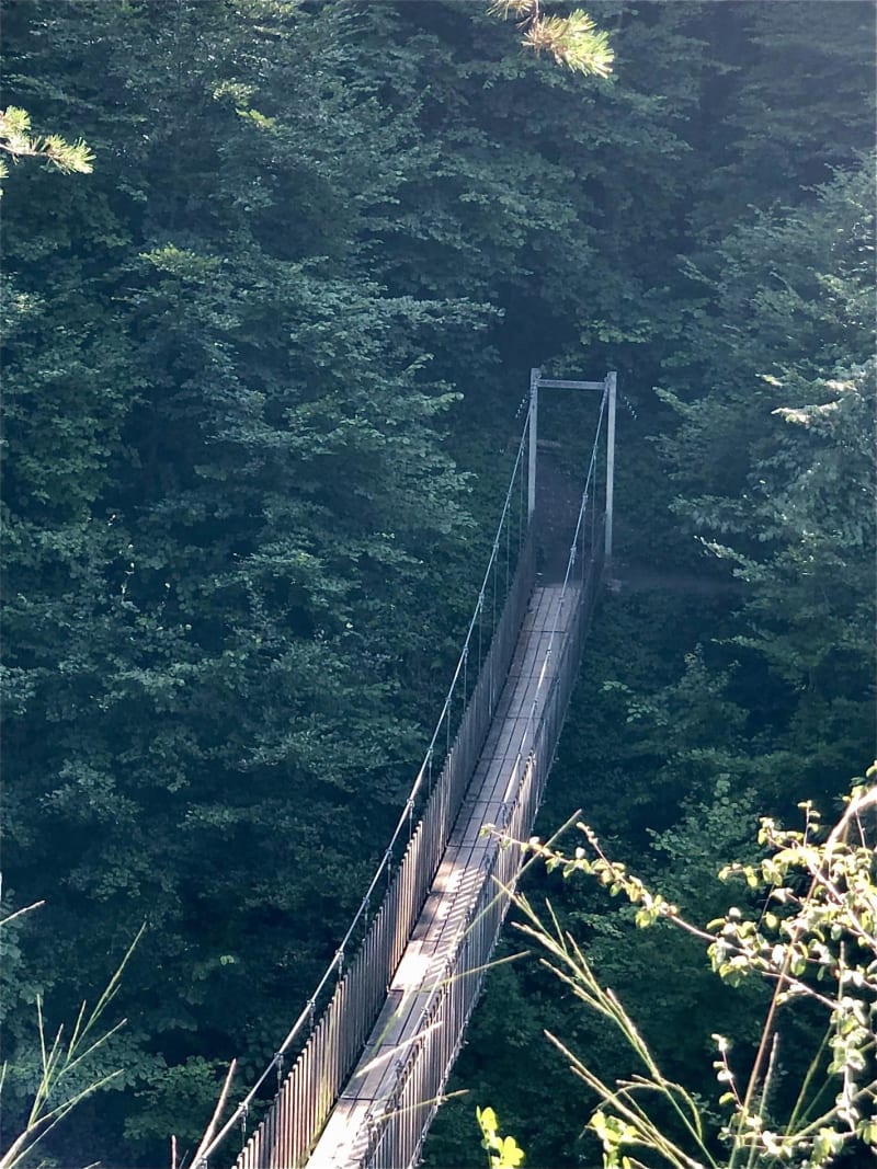 Canyon de Ternèze et connexion avec la nature - Saint-Jean-d'Arvey