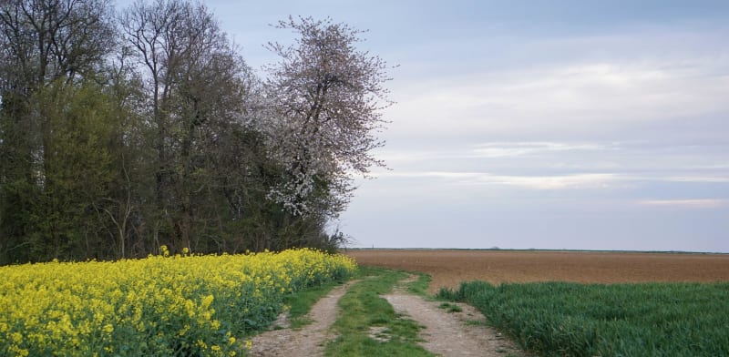 Balade champêtre à Hondevilliers et secrets de la faune - Hondevilliers