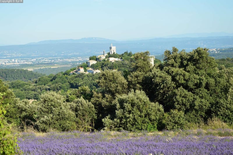 Clansayes et balade inspirante dans la garrigue - Clansayes