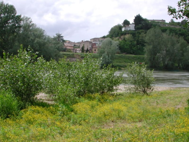 Meilhan, entre Canal et Garonne - Meilhan-sur-Garonne