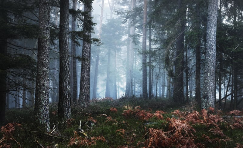 Virée à Dinozé et moment rafraîchissant dans les bois - Dinozé