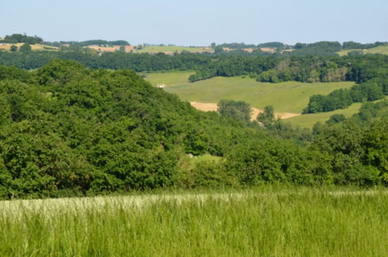 Madaillan, le circuit du plateau de Fraisse - Madaillan