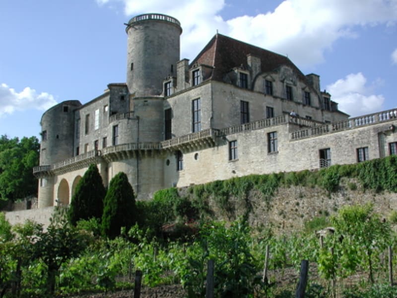Duras, un château, un vignoble - Duras