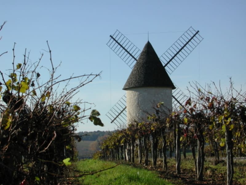 Villeneuve-de-Duras, à l'orée de la Gironde - Villeneuve-de-Duras
