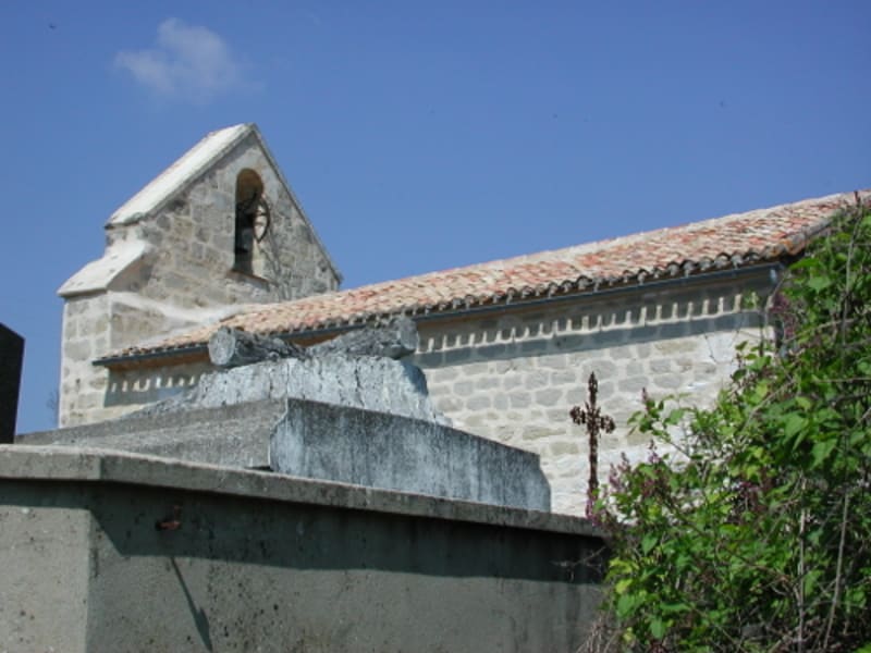 Saint-Grégoire, la balade des ânes de Pinseguerre - Saint-Grégoire