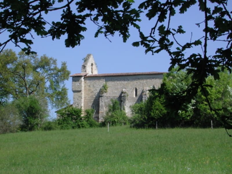 Meylan, balade entre pins et chênes - Meylan
