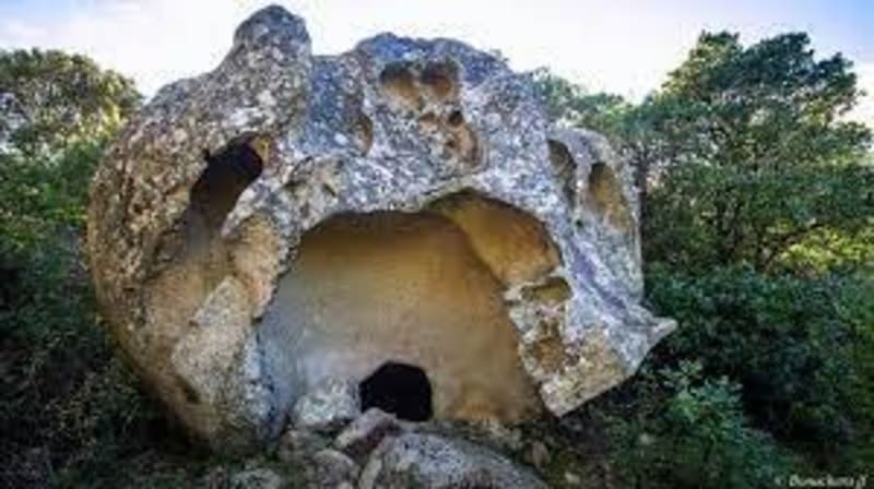 Découverte des Orii de Monacia-d'Aullène - Monacia-d'Aullène