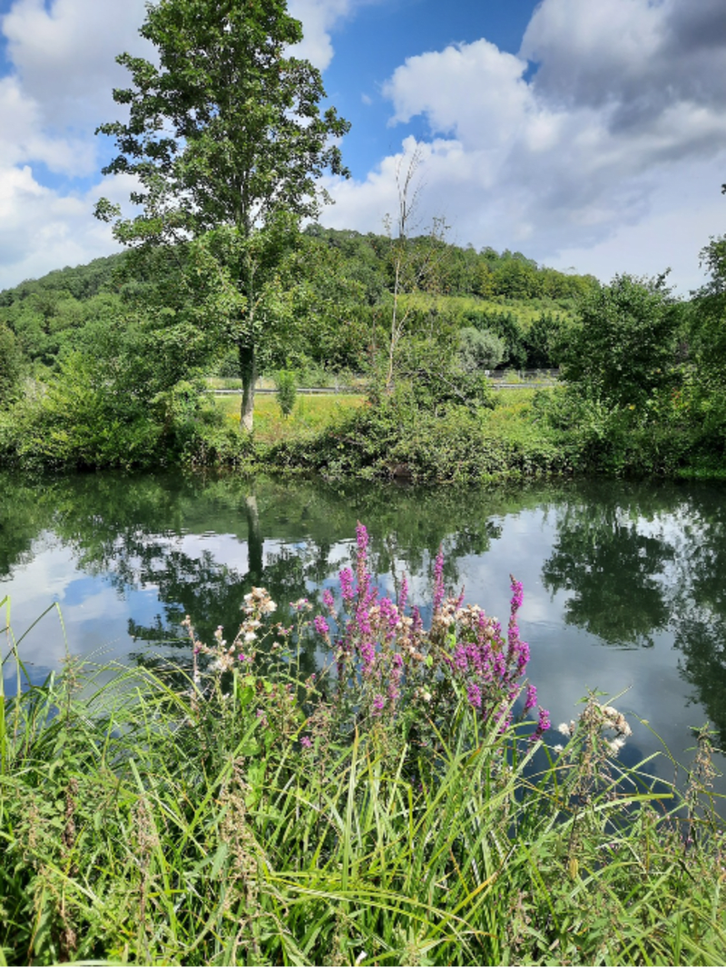 Balade reposante à Louviers, sur les bords de l'Eure - Louviers