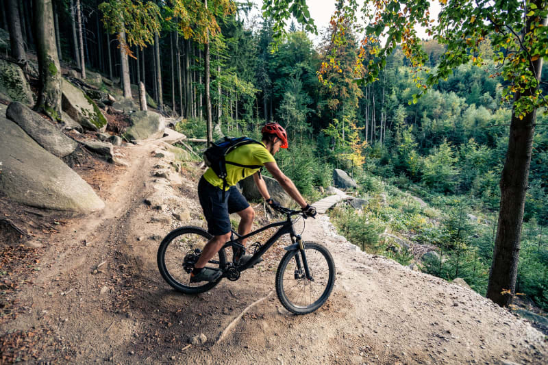 Bois des Maures et petites buttes joueuses à VTT - Mouans-Sartoux